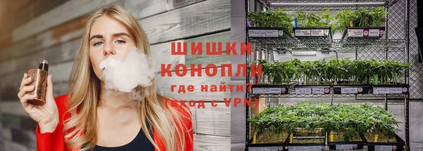 ГАЛЛЮЦИНОГЕННЫЕ ГРИБЫ Абаза