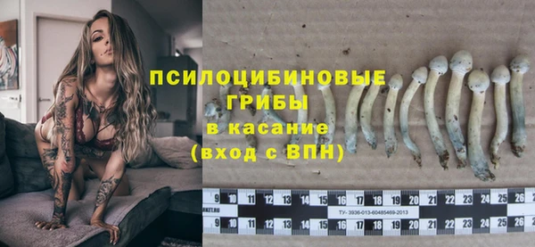 ГАЛЛЮЦИНОГЕННЫЕ ГРИБЫ Абаза