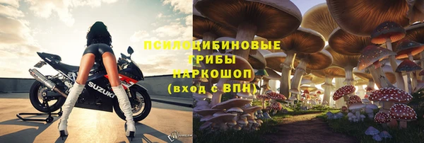 прущие крисы Абинск